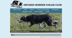 Desktop Screenshot of ontariobordercollieclub.com